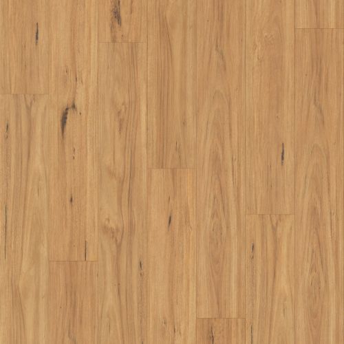 Classic L8 02 Coastal Blackbutt